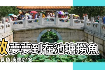 【夢見魚塘抓一條大魚稱】做夢夢到在池塘撈魚 |夢見魚塘裏好多魚是什麼意思預兆 |做夢夢見抓大魚好不好 |