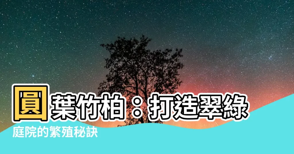 【圓葉竹柏繁殖】圓葉竹柏：打造翠綠庭院的繁殖秘訣