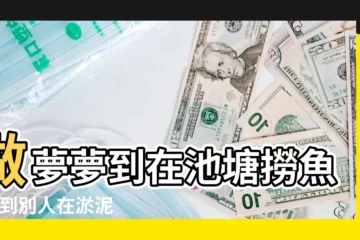 【女人夢見別人在池塘裏撈魚一】做夢夢到在池塘撈魚 |夢到別人在淤泥裡抓魚 |