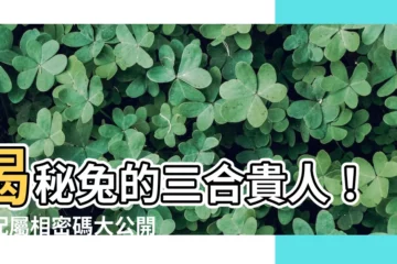 【兔的三合】揭秘兔的三合貴人！速配屬相密碼大公開！