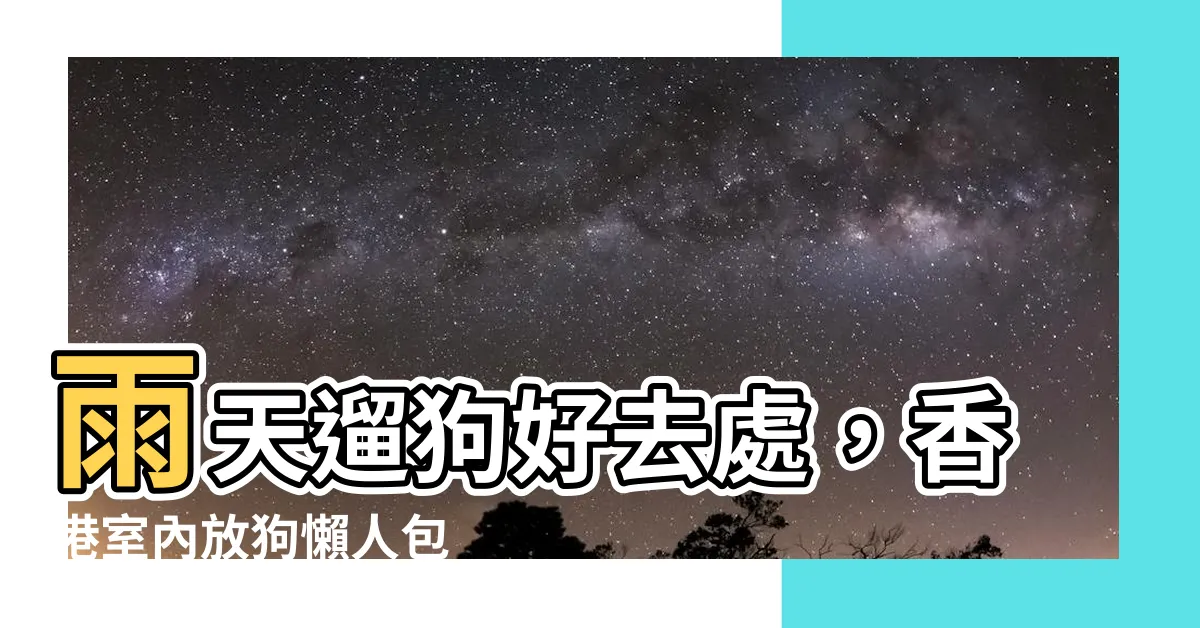 【室內放狗】雨天遛狗好去處，香港室內放狗懶人包