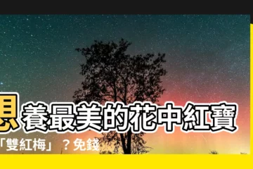【雙紅梅】想養最美的花中紅寶石「雙紅梅」？免錢秘技都在這篇文章！