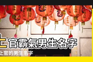 【上宮霸氣男生名字】上官霸氣男生名字 |姓上官的男生名字 |上官霸氣男生名字 |