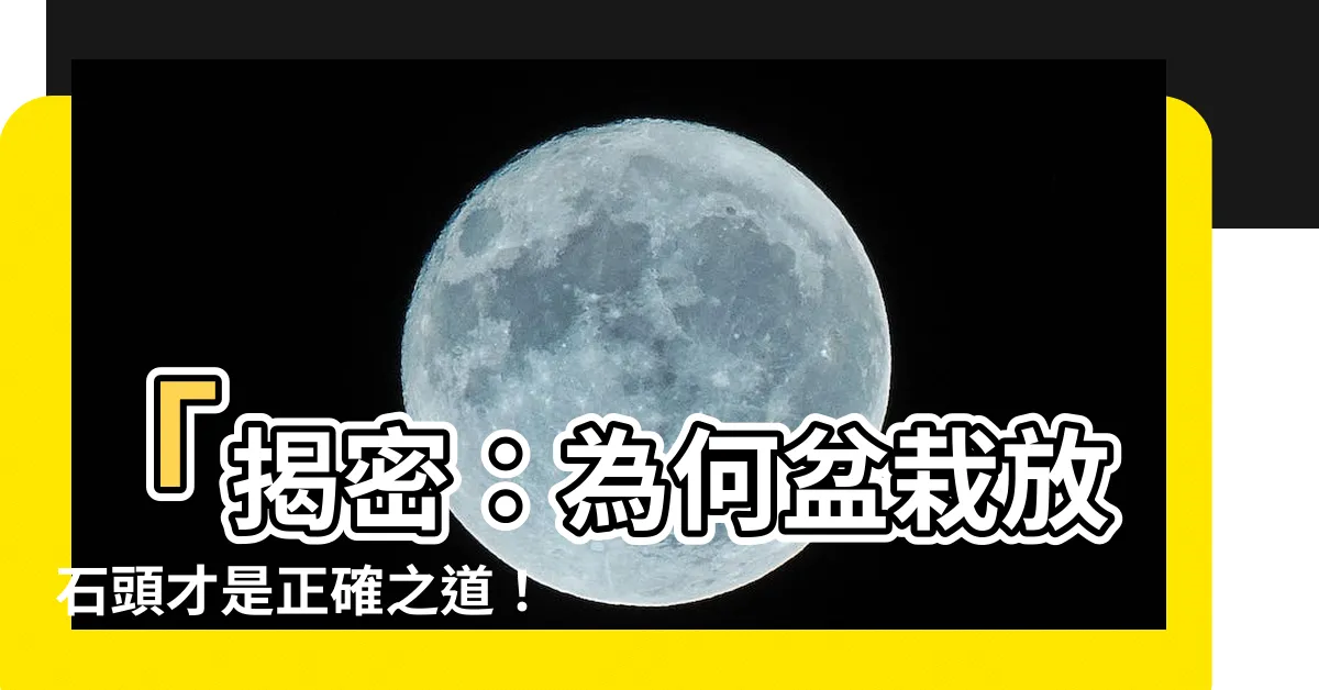 【盆栽放石頭】「揭密：為何盆栽放石頭才是正確之道！必學養花技巧」