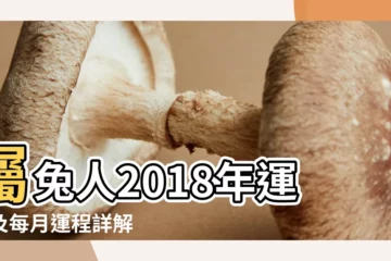【屬兔人2o18年運勢及運程詳解】屬兔人2018年運勢及每月運程詳解 |2018年屬兔人的全年運勢 |屬兔人2018年下半年運勢詳解 |