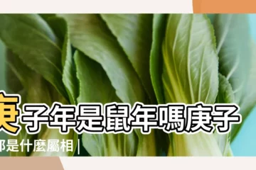 【庚子月是哪個生肖】庚子年是鼠年嗎庚子年都是什麼屬相 |十二生肖為何 |民俗專家庚子年話 |