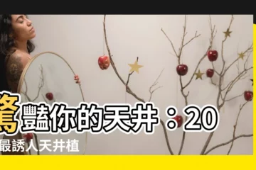 【天井植物】驚豔你的天井:2024 最誘人天井植物靈感大公開!