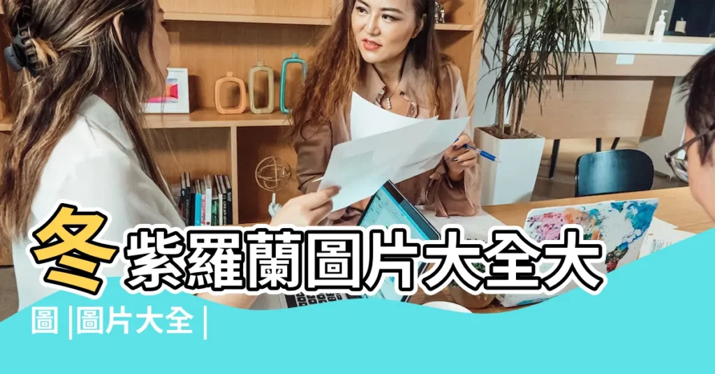 冬紫羅蘭圖片大全大圖 |圖片大全 |紅色紫羅蘭花 |【冬紫羅蘭花語唯美圖片大全】