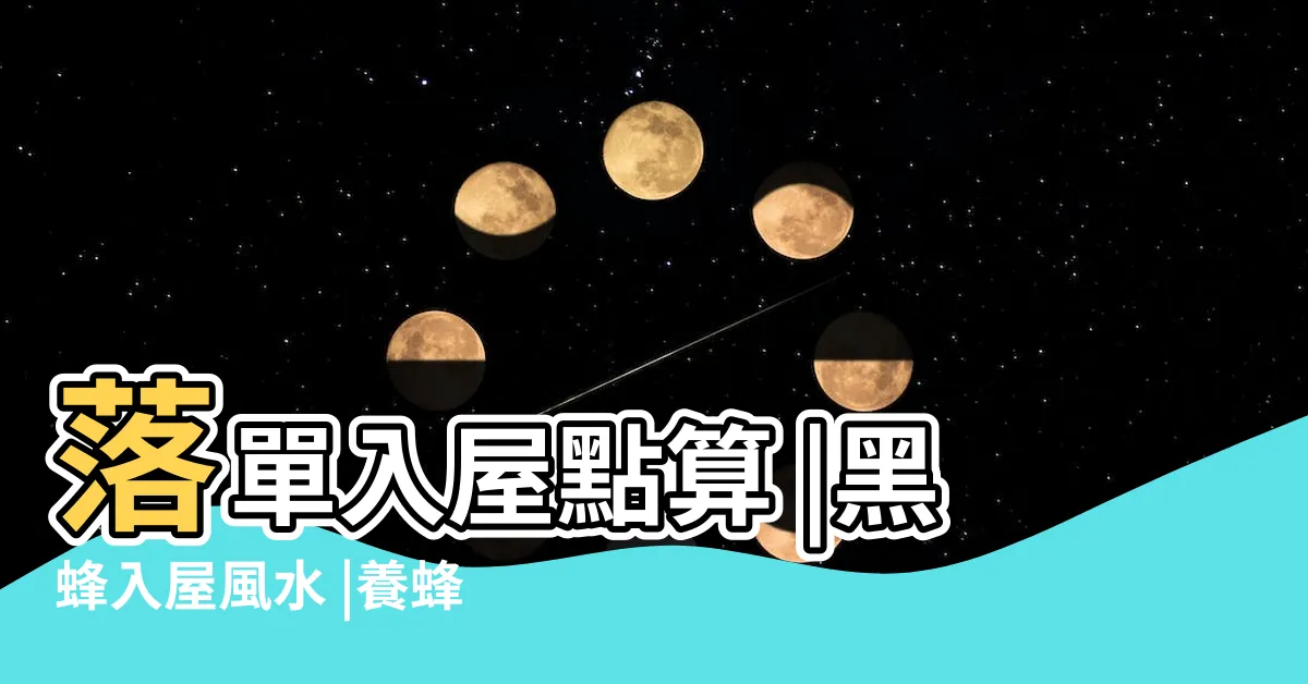 【黑蜂入屋預兆】落單入屋點算 |黑蜂入屋風水 |養蜂知識分享 |