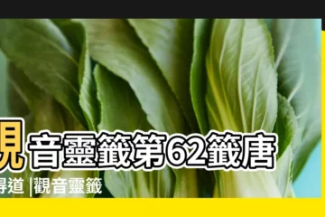 【觀音第六十二籤求姻緣】觀音靈籤第62籤唐僧得道 |觀音靈籤第六十二籤唐僧得道 |觀音靈籤第六十二籤觀音靈籤解籤62 |