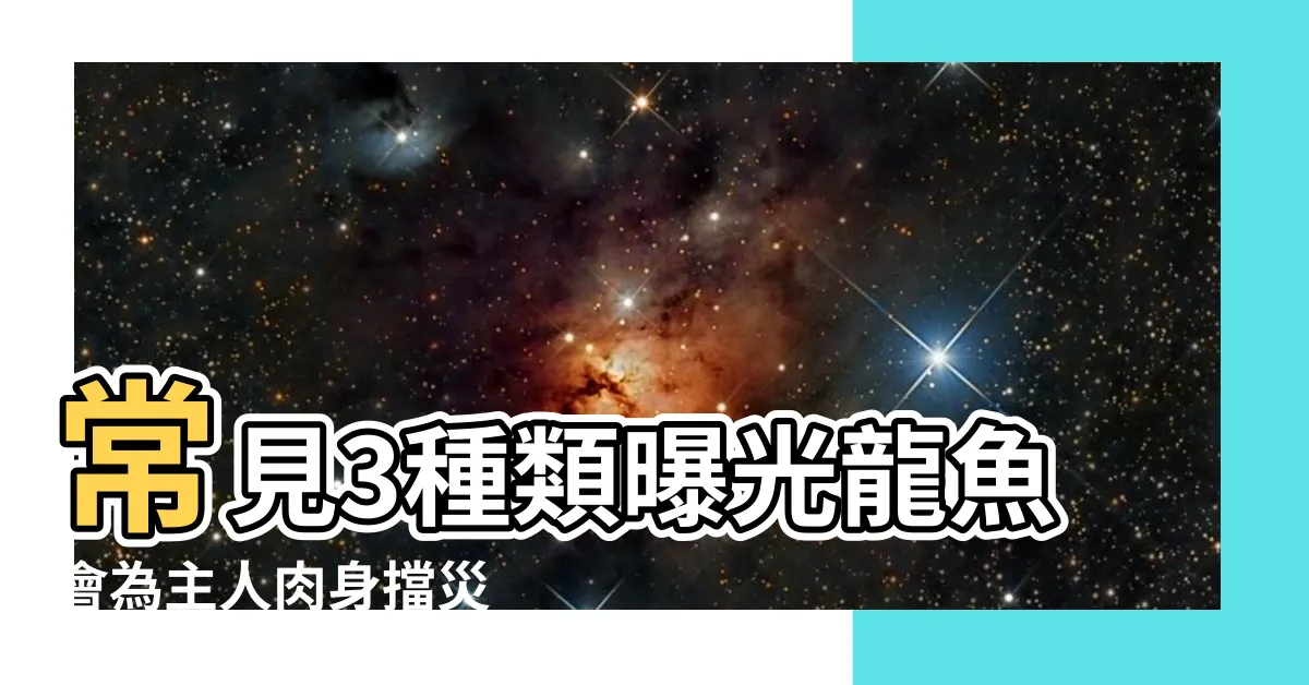 【紅龍魚風水】常見3種類曝光龍魚會為主人肉身擋災 |家中風水魚別亂養 |簡述三類龍魚的風水作用 |