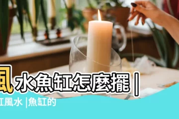【魚缸高度 風水】風水魚缸怎麼擺 |魚缸風水 |魚缸的高度風水 |