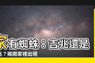 【家有蜘蛛】家有蜘蛛：吉兆還是凶兆？揭開家裡出現蜘蛛的寓意！