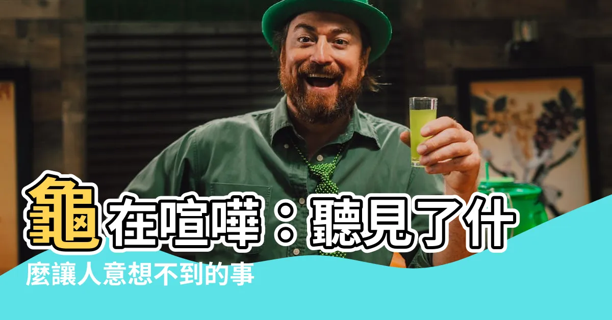 【聽龜在哮】龜在喧嘩：聽見了什麼讓人意想不到的事情？