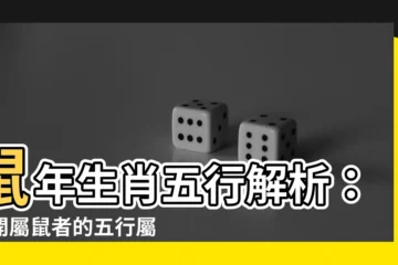 【鼠的五行】鼠年生肖五行解析：揭開屬鼠者的五行屬性與色彩運勢