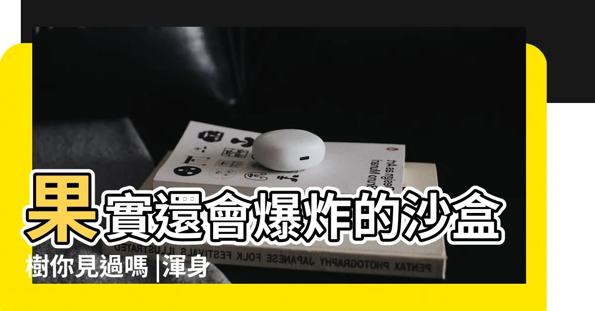 【帶刺的樹】果實還會爆炸的沙盒樹你見過嗎 |渾身帶刺 |帶刺的樹的免費圖片 |