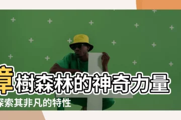 【樟樹特性】樟樹森林的神奇力量：探索其非凡的特性