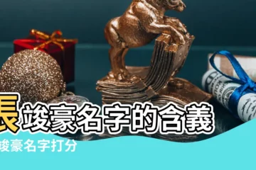 【張竣豪名字打分】張竣豪名字的含義 |張竣豪名字打分 |張竣豪的名字測試打分結果 |