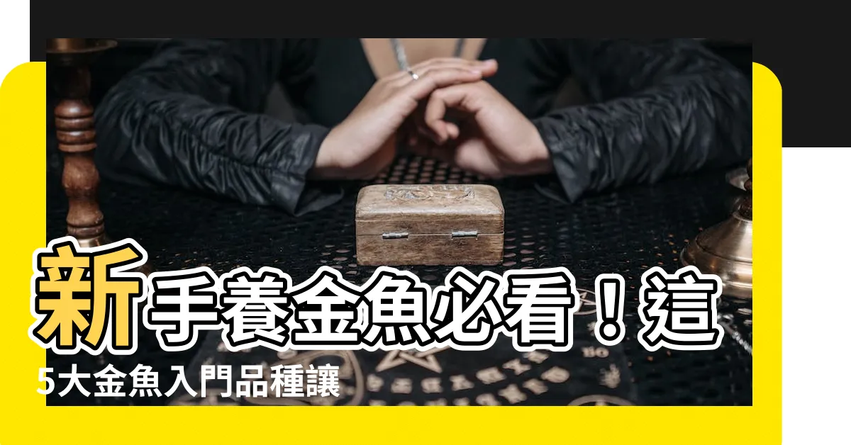 【金魚入門品種】新手養金魚必看！這5大金魚入門品種讓你輕鬆養魚不踩雷