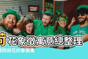 【請問荷花的象徵寓意為何？】荷花象徵寓意總整理！請問荷花的象徵寓意為何？