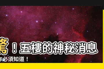 【五樓】驚！五樓的神秘消息，你必須知道！
