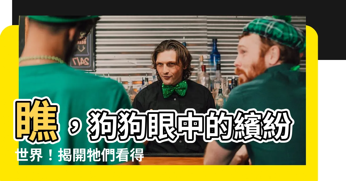【狗狗看得到的顏色】瞧，狗狗眼中的繽紛世界！揭開牠們看得到的驚奇顏色