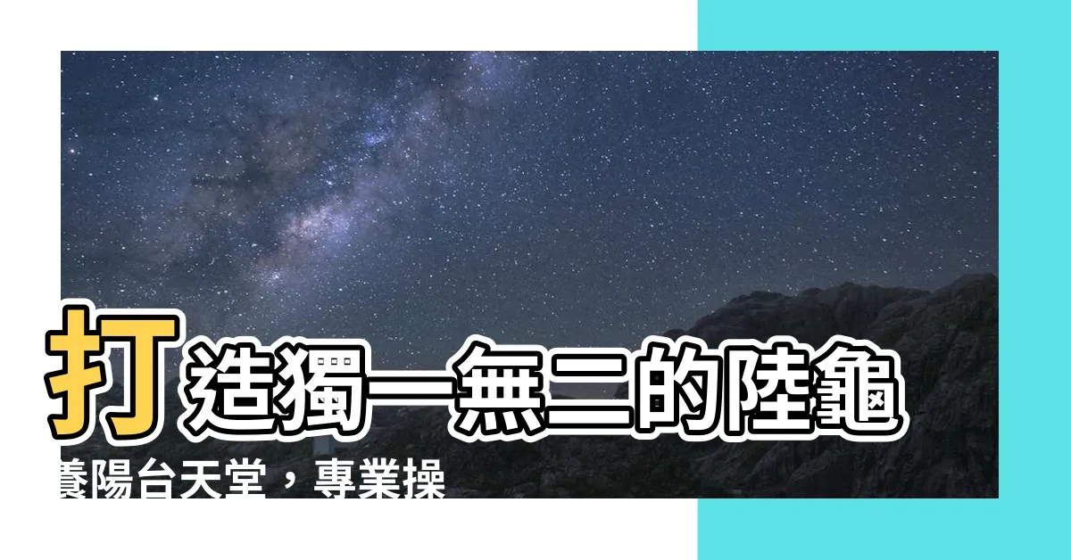 【陸龜養陽台】打造獨一無二的陸龜養陽台天堂，專業操盤手教你如何輕鬆設計！