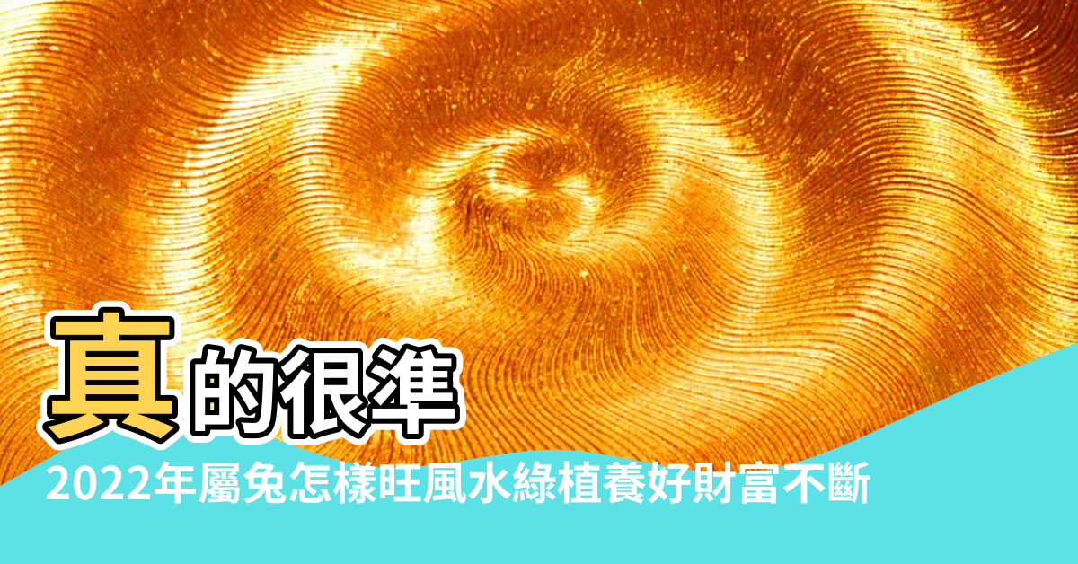 【兔的風水綠植】真的很準 |2022年屬兔怎樣旺風水綠植養好財富不斷 |屬兔人養什麼植物最旺自己的財運 |