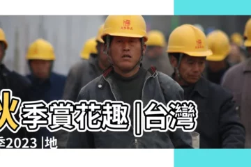 【11月 花】秋季賞花趣 |台灣花季2023 |地點看這篇 |