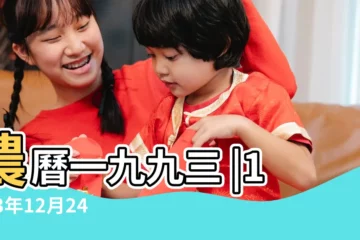 【陽曆1993年12月24日】農曆一九九三 |1993年12月24日出生時間看命運 |1993年12月24日陰曆多少號 |