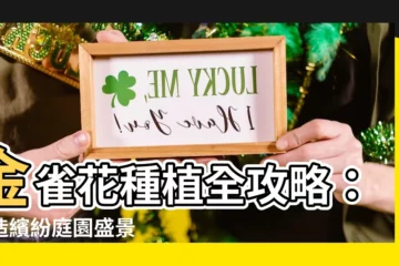 【金雀花種植】金雀花種植全攻略：打造繽紛庭園盛景