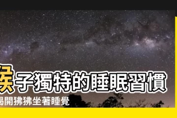 【猴子睡覺】猴子獨特的睡眠習慣：揭開狒狒坐著睡覺的秘密