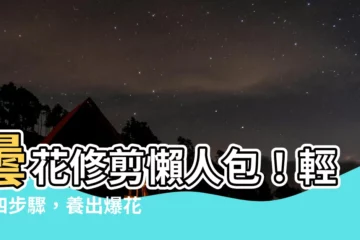 【曇花修剪】曇花修剪懶人包！輕鬆四步驟，養出爆花無數的夢幻曇花！