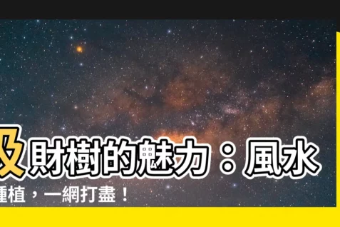 【吸財樹風水】吸財樹的魅力:風水、種植,一網打盡!