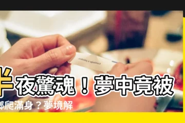 【夢見蟑螂爬到身上】半夜驚魂！夢中竟被蟑螂爬滿身？夢境解析揭露你內心深處的秘密