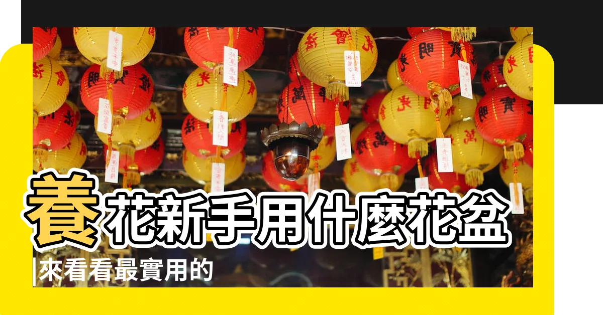【青山盆原理】養花新手用什麼花盆 |來看看最實用的 |長根開花也很棒 |
