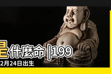 【1993年2月24日事業命】是什麼命 |1993年2月24日出生的人生辰八字測算 |1993年2月24日出生的人命好嗎 |