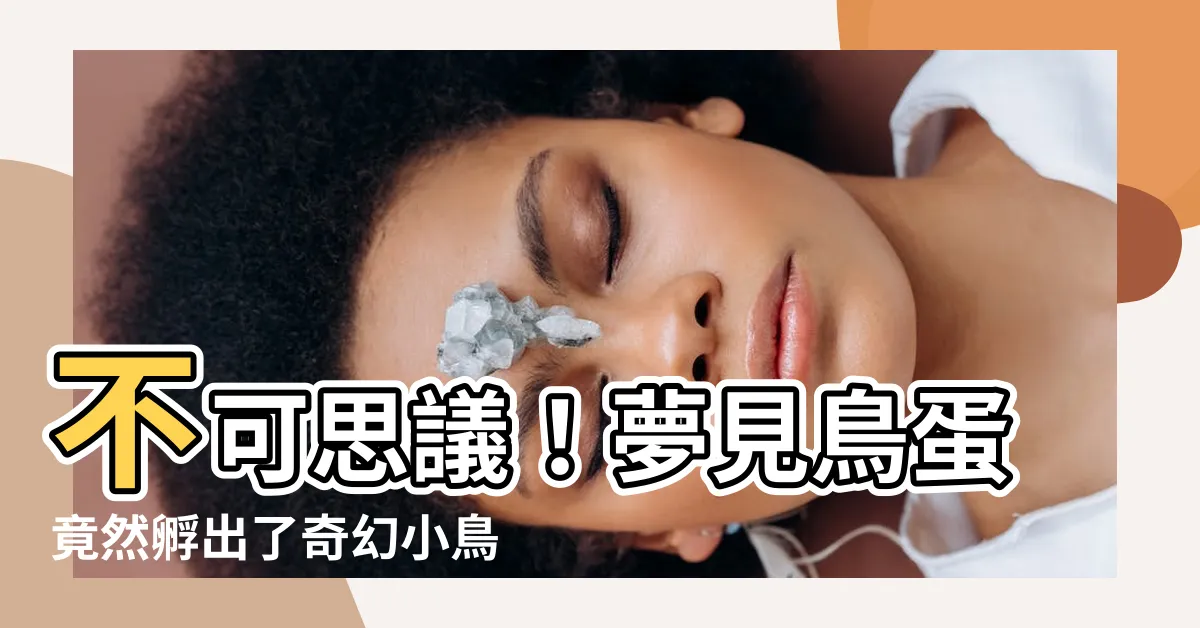 【夢見鳥蛋孵化】不可思議！夢見鳥蛋竟然孵出了奇幻小鳥！