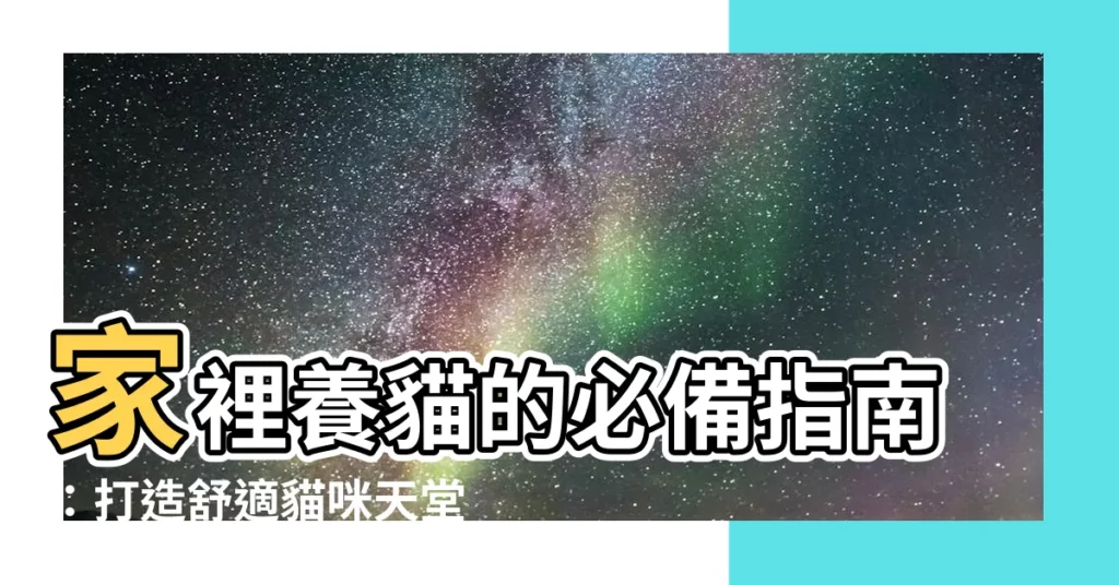 【家裡養貓】家裡養貓的必備指南：打造舒適貓咪天堂
