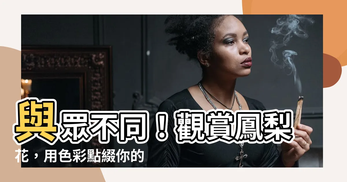 【觀賞鳳梨花】與眾不同！觀賞鳳梨花，用色彩點綴你的居家空間！