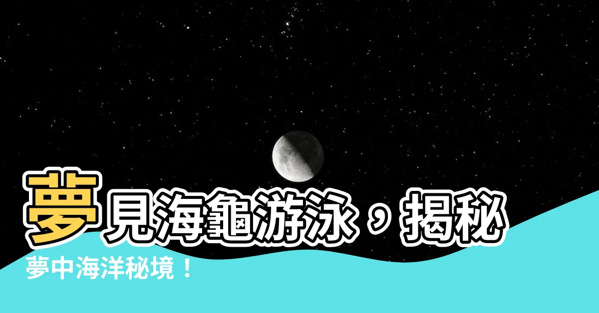 【夢見海龜游泳】夢見海龜游泳，揭秘夢中海洋秘境！