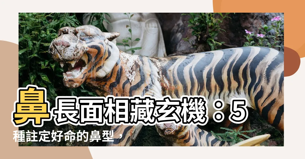 【鼻長 面相】鼻長面相藏玄機：5種註定好命的鼻型，事業貴人加持，一生無憂
