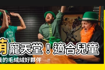 【適合小孩養的寵物】萌寵天堂！適合兒童飼養的毛絨絨好夥伴