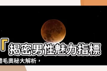 【體毛】「揭密男性魅力指標！體毛奧秘大解析，細數性能力強的象徵」