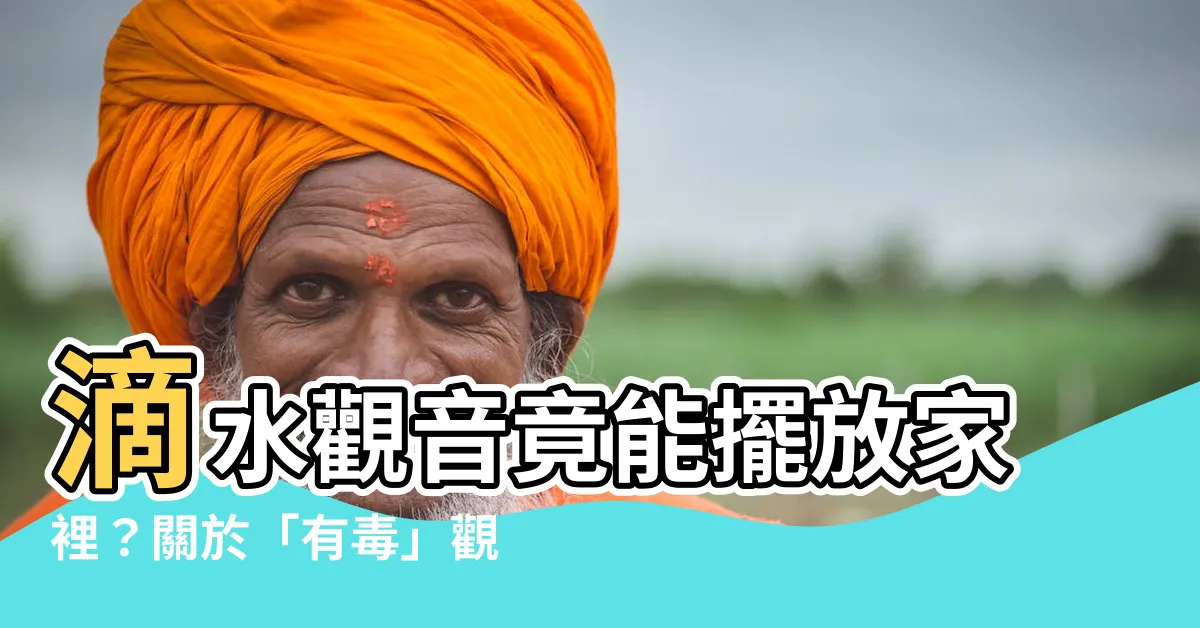 【滴水觀音】滴水觀音竟能擺放家裡？關於「有毒」觀念終獲破解！