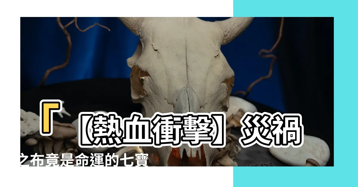 【災禍之布】「【熱血衝擊】災禍之布竟是命運的七寶，翻轉你的人生！」