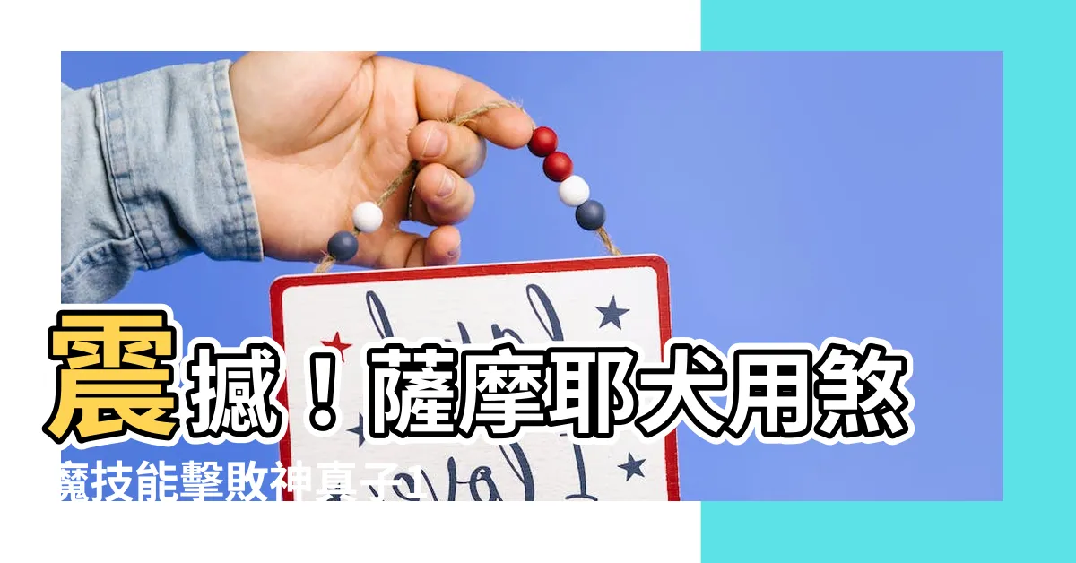 【煞魔噎】震撼！薩摩耶犬用煞魔技能擊敗神真子178，震驚全球！