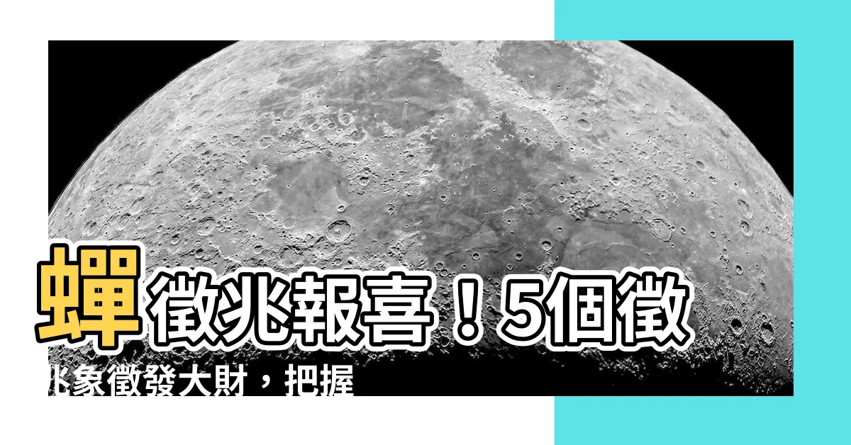 【蟬徵兆】蟬徵兆報喜！5個徵兆象徵發大財，把握好運致富