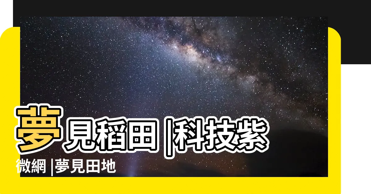 【夢見稻田】夢見稻田 |科技紫微網 |夢見田地 |