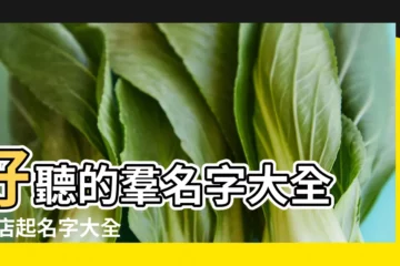 【形容夜場微信羣名稱】好聽的羣名字大全 |夜店起名字大全 |100個沙雕有趣的微信羣名 |